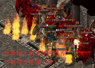 传奇战士职业如何培养才能成为最强王者? 传奇战士职业如何培养才能成为最强王者?