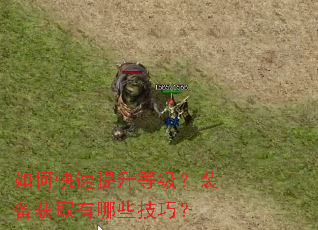 如何快速提升等级?装备获取有哪些技巧? 如何快速提升等级?装备获取有哪些技巧?
