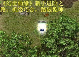 《幻世仙缘》新手进阶之路：机缘巧合，踏破乾坤