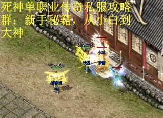死神单职业传奇私服攻略群：新手秘籍，从小白到大神