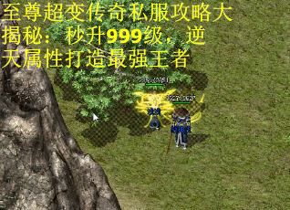 至尊超变传奇私服攻略大揭秘：秒升999级，逆天属性打造最强王者