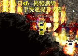 沉默传奇sf：揭秘满级之路，新手快速提升必看