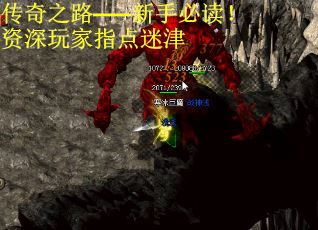 传奇之路——新手必读！资深玩家指点迷津