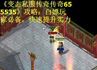 《变态私服传奇传奇655535》攻略：白嫖玩家必备，快速提升实力