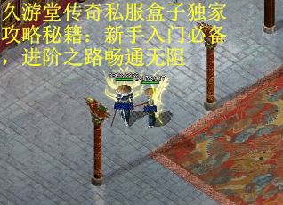 久游堂传奇私服盒子独家攻略秘籍：新手入门必备，进阶之路畅通无阻