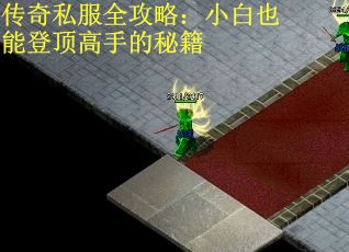 传奇私服全攻略：小白也能登顶高手的秘籍