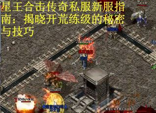 星王合击传奇私服新服指南：揭晓开荒练级的秘密与技巧