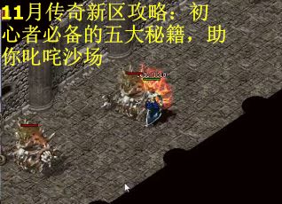 11月传奇新区攻略：初心者必备的五大秘籍，助你叱咤沙场