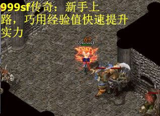 999sf传奇：新手上路，巧用经验值快速提升实力