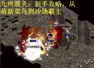 九州震天：新手攻略，从萌新菜鸟到沙场霸主