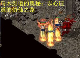 乌木剑道的奥秘：以心证道的修仙之路