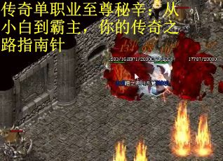 传奇单职业至尊秘辛：从小白到霸主，你的传奇之路指南针