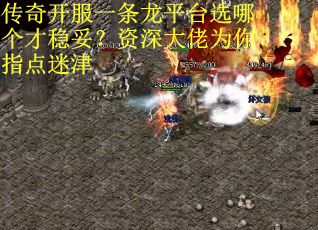 传奇开服一条龙平台选哪个才稳妥？资深大佬为你指点迷津