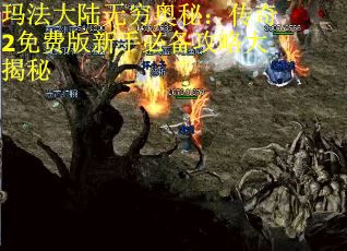 玛法大陆无穷奥秘：传奇2免费版新手必备攻略大揭秘