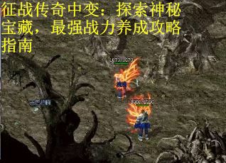 征战传奇中变：探索神秘宝藏，最强战力养成攻略指南