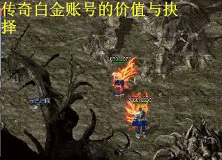传奇白金账号的价值与抉择