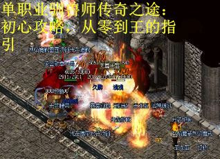 单职业驯兽师传奇之途：初心攻略，从零到王的指引