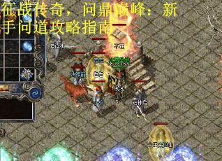 征战传奇，问鼎巅峰：新手问道攻略指南