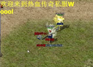 欢迎来到热血传奇私服Woool