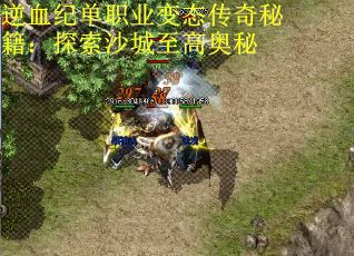 逆血纪单职业变态传奇秘籍：探索沙城至高奥秘