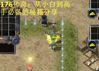 176传奇：从小白到高手必备的秘籍分享