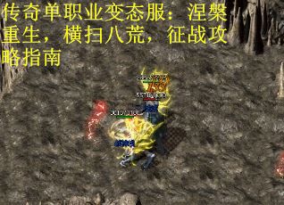 传奇单职业变态服：涅槃重生，横扫八荒，征战攻略指南