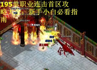 195单职业连击首区攻略大全：新手小白必看指南
