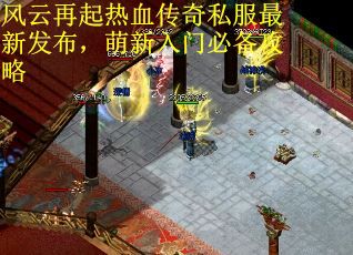 风云再起热血传奇私服最新发布，萌新入门必备攻略