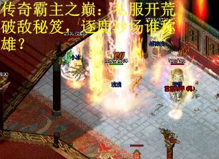 传奇霸主之巅：私服开荒破敌秘笈，逐鹿沙场谁称雄？