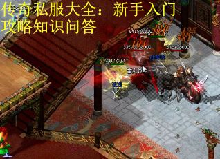 传奇私服大全：新手入门攻略知识问答