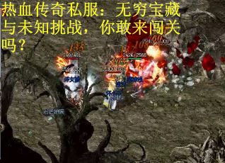 热血传奇私服：无穷宝藏与未知挑战，你敢来闯关吗？