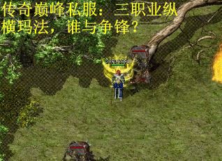 传奇巅峰私服：三职业纵横玛法，谁与争锋？