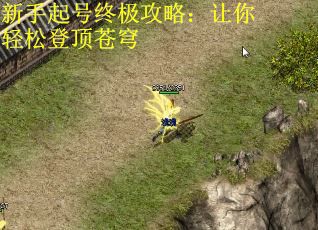 新手起号终极攻略：让你轻松登顶苍穹