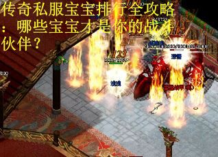 传奇私服宝宝排行全攻略：哪些宝宝才是你的战斗伙伴？
