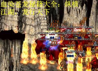 血染苍龙秘籍大全：纵横江湖，龙行天下