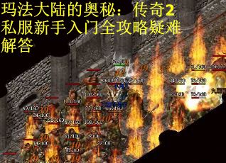 玛法大陆的奥秘：传奇2私服新手入门全攻略疑难解答