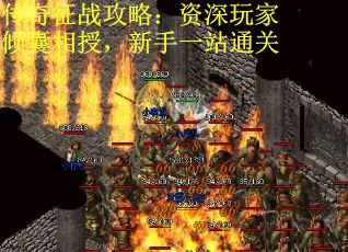 传奇征战攻略：资深玩家倾囊相授，新手一站通关