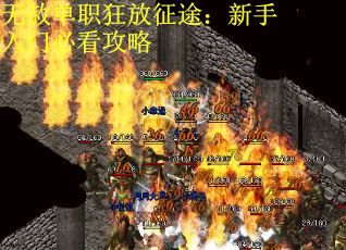 无赦单职狂放征途：新手入门必看攻略