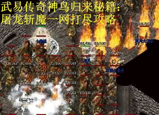 武易传奇神鸟归来秘籍：屠龙斩魔一网打尽攻略