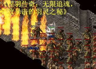《涅羽传奇：无限追魂，极致暴击的羽灵之秘》