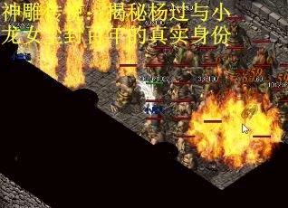 神雕传说：揭秘杨过与小龙女尘封百年的真实身份