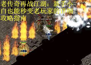 老传奇再战江湖：新手小白也能秒变老玩家的详细攻略指南