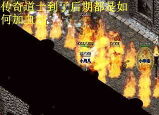 传奇道士到了后期都是如何加血的