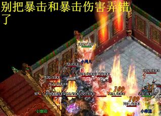 别把暴击和暴击伤害弄错了