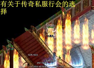 有关于传奇私服行会的选择