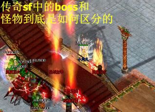 传奇sf中的boss和怪物到底是如何区分的