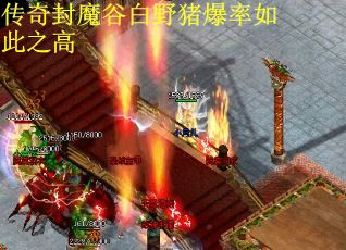传奇封魔谷白野猪爆率如此之高