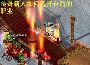 传奇新人如何选择合适的职业