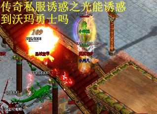 传奇私服诱惑之光能诱惑到沃玛勇士吗