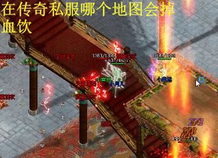 在传奇私服哪个地图会掉血饮
